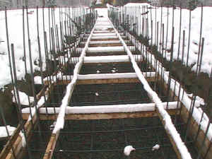Pit floor