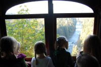 Visitors look out coach window of scenic view at Snoqualmie Falls on October 26, 2008 train ride.