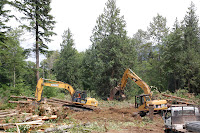 Backhoes clear site.