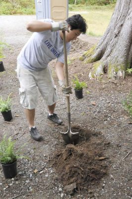 Day of Caring 2012 volunteer digs a hole for landscaping at the Train Shed.