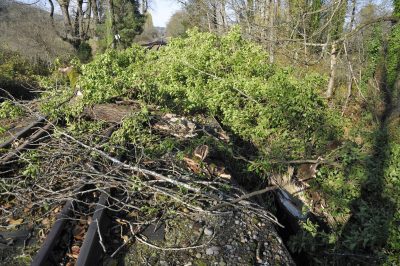 2014 downed tree against Bridge 35 deck.