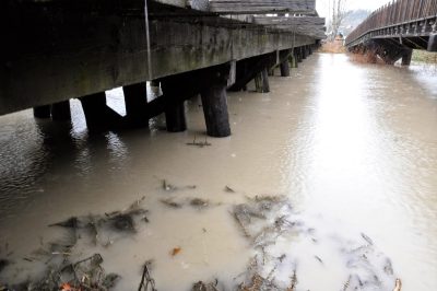 Bridge 32 at Kimball Creek during January 2015 flooding.