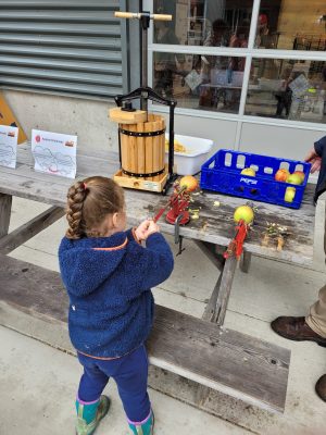 A young visitor tries their hand at peeling and coring an apple.