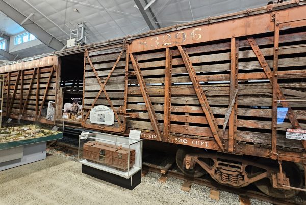 Northern Pacific Stock Car 83296 on display in Train Shed.