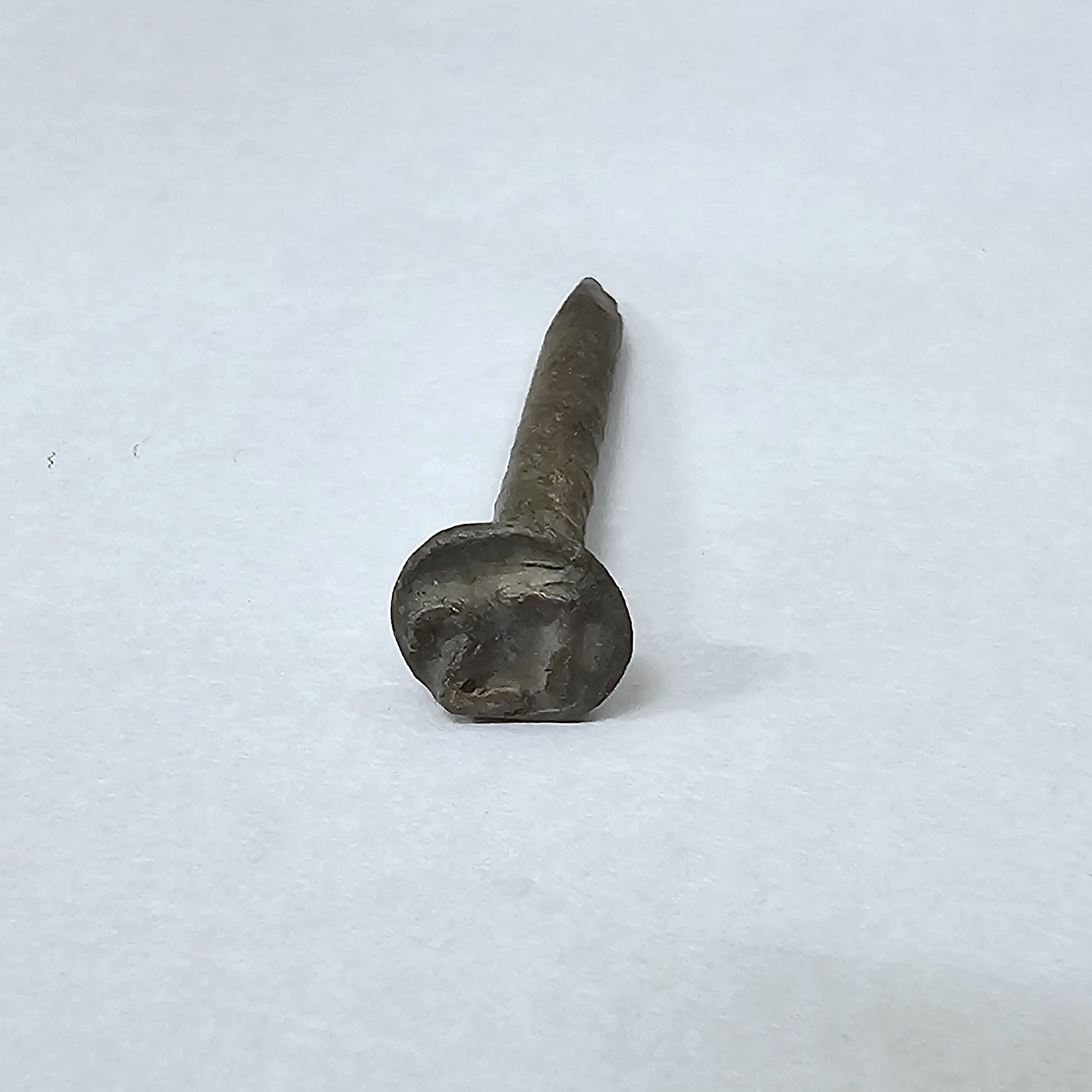 A railroad date nail used to mark what year it had been produced. 27 is raised on the head of the nail.