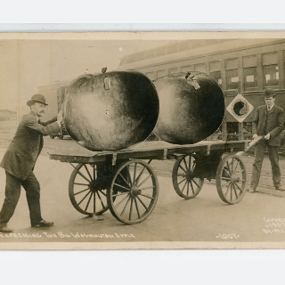 2019.012.040 "Expressing the Big Washington Apple." postcard